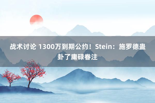 战术讨论 1300万到期公约！Stein：施罗德蛊卦了庸碌眷注